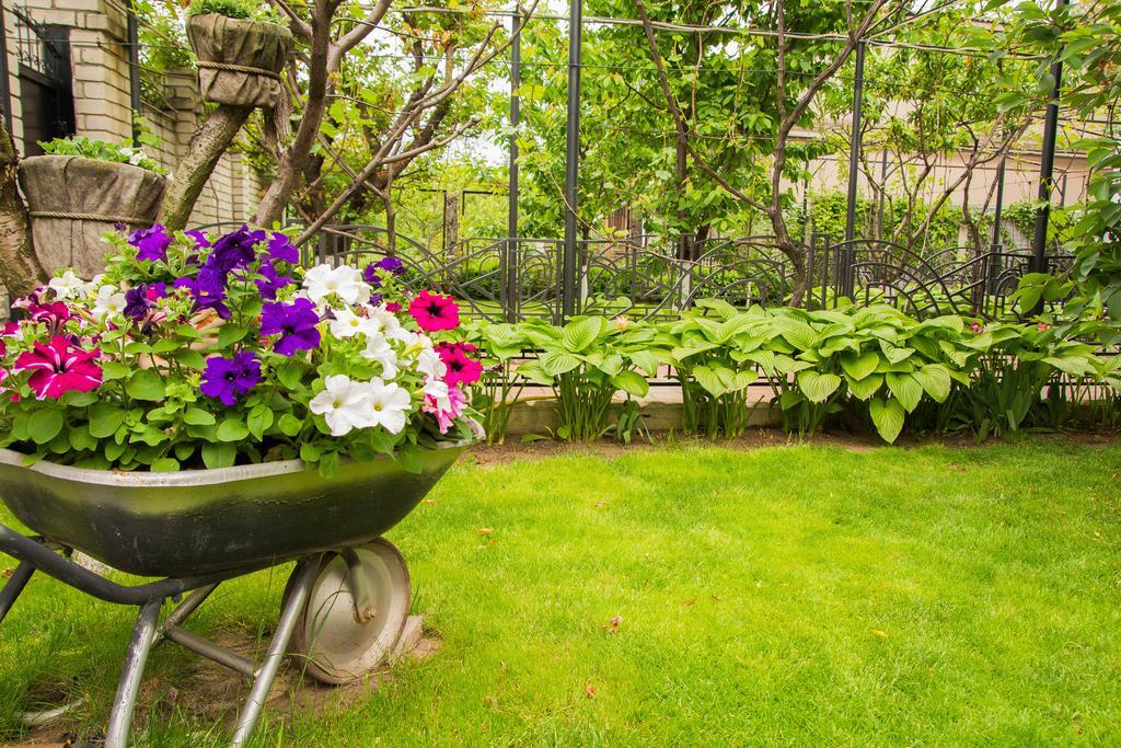 Hotel apartamentowy Yuzhniy Dvorik Odessa