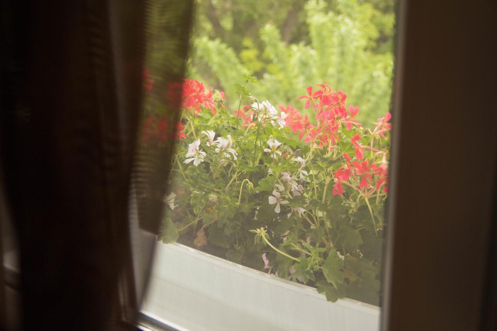 Hotel apartamentowy Yuzhniy Dvorik
